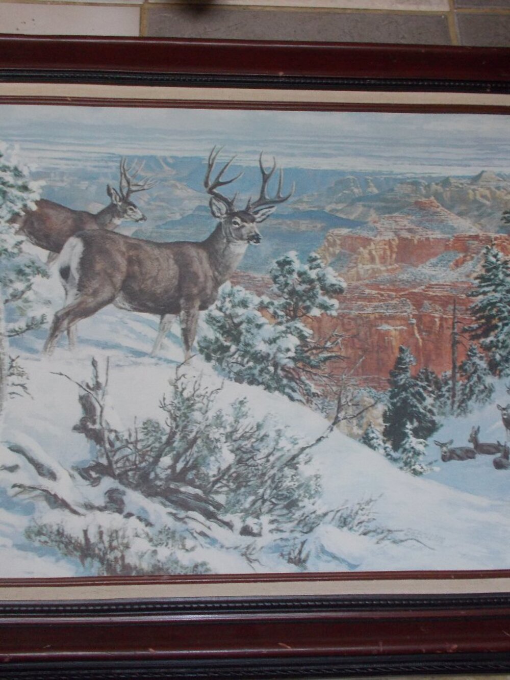 Vintage wildlife deer lithograph on canvas framed, by Beecham